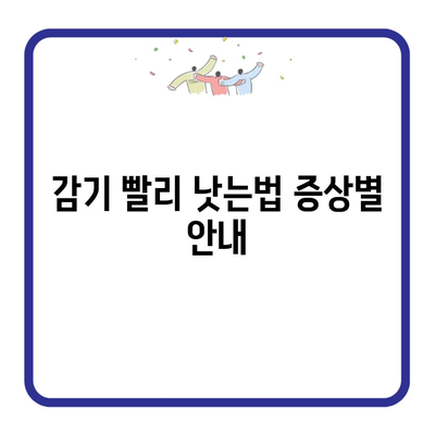 감기 빨리 낫는법 증상별 안내