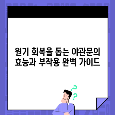 원기 회복을 돕는 야관문의 효능과 부작용 완벽 가이드