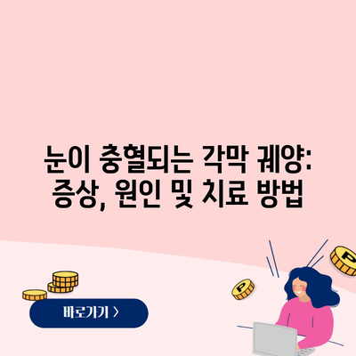 눈이 충혈되는 각막 궤양: 증상, 원인 및 치료 방법