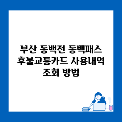 부산 동백전 동백패스 후불교통카드 사용내역 조회 방법