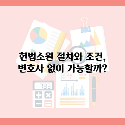 헌법소원 절차와 조건, 변호사 없이 가능할까?