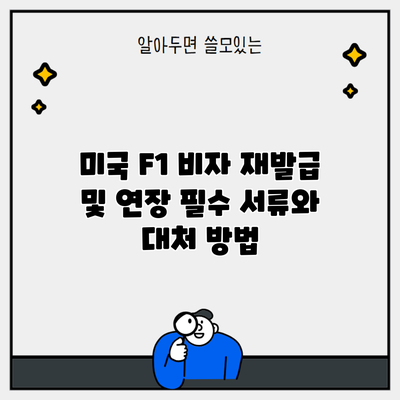 미국 F1 비자 재발급 및 연장 필수 서류와 대처 방법