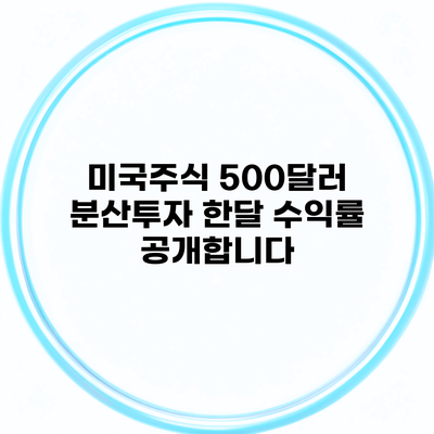 미국주식 500달러 분산투자 한달 수익률 공개합니다