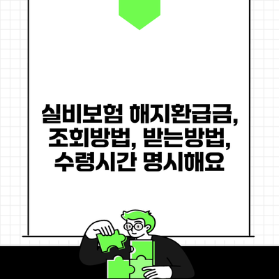 실비보험 해지환급금, 조회방법, 받는방법, 수령시간 명시해요