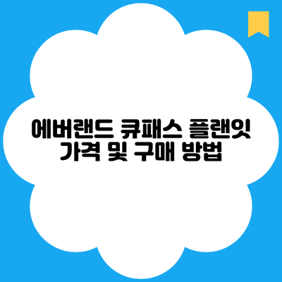 에버랜드 큐패스 플랜잇 가격 및 구매 방법