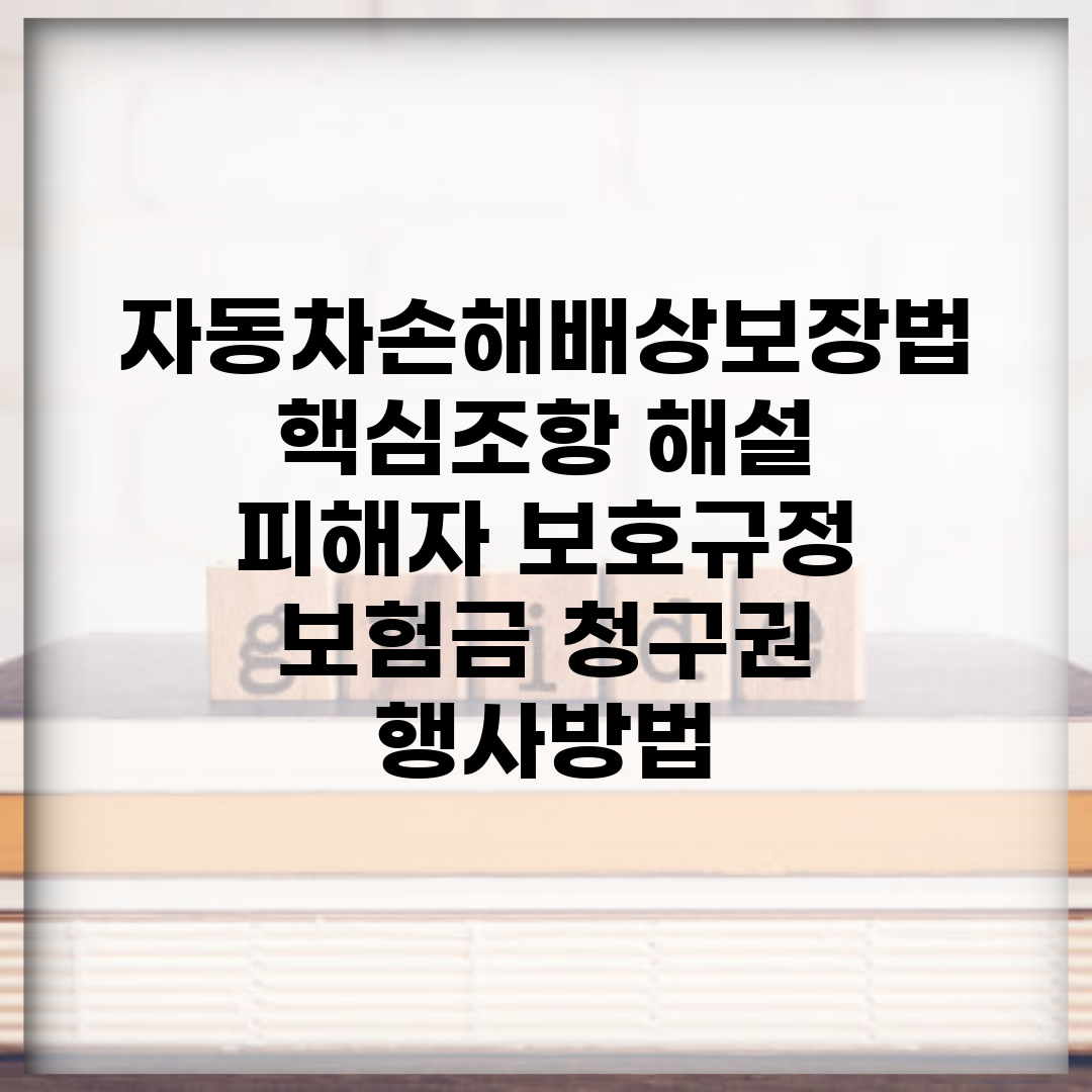 자동차손해배상보장법 핵심조항 해설 | 피해자 보호규정 | 보험금 청구권 행사방법