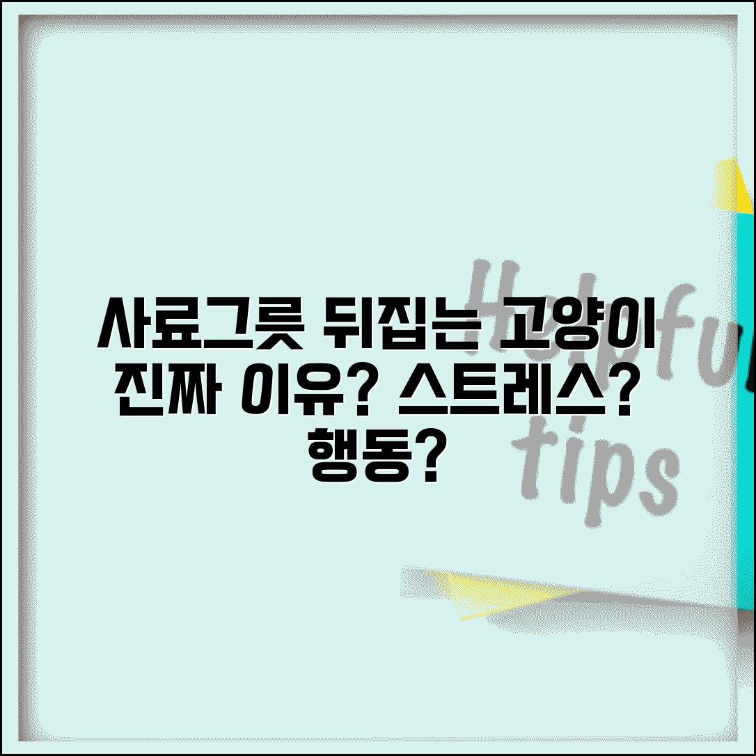 고양이가 사료그릇 뒤집는 이유가 뭔가요 | 고양이 식기 | 행동 | 스트레스
