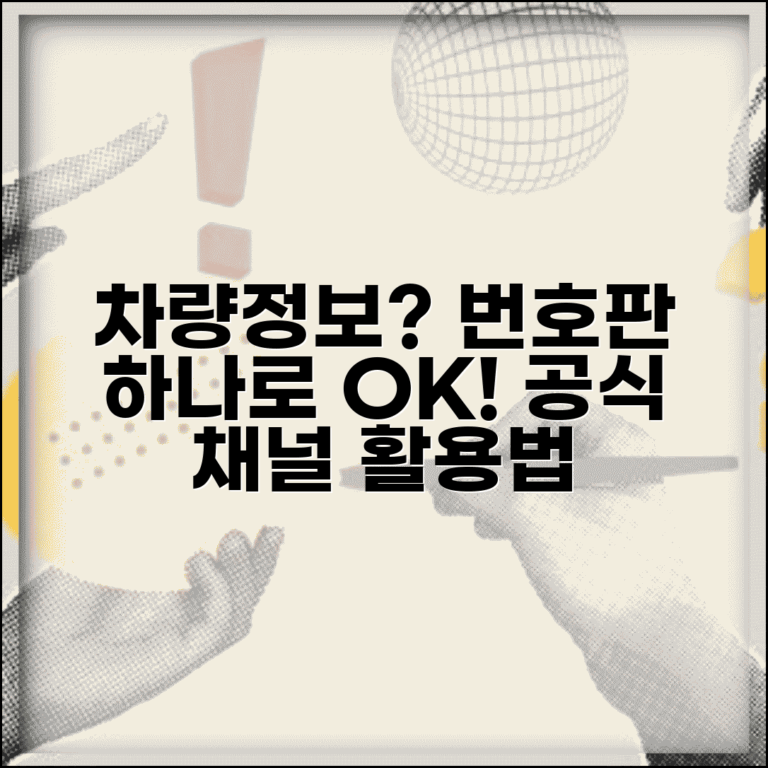 차량 정보 확인 공식 채널 번호판 조회 서비스 활용법