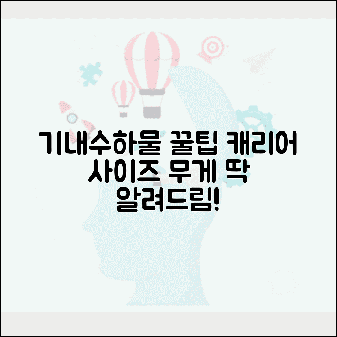 비행기 캐리어 사이즈 제한 및 기내수하물 무게 규정