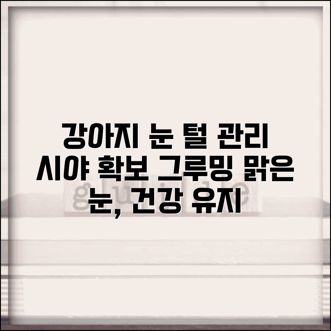 강아지 눈 털 관리와 시야 확보 위한 그루밍 방법