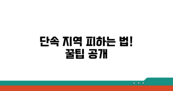 단속 대상 지역과 피하는 방법