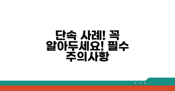 실제 단속 사례와 주의사항
