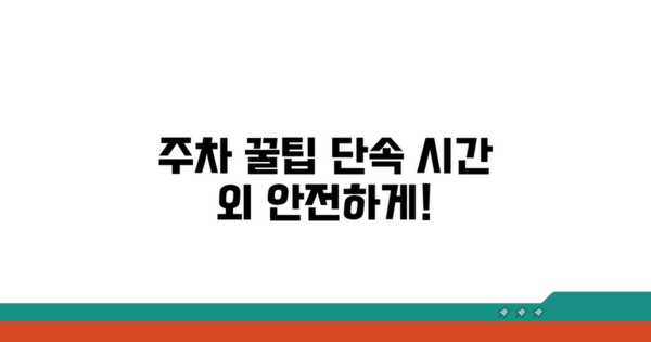 단속 시간 외 주차 꿀팁
