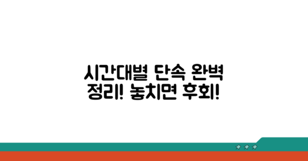 시간대별 단속 여부 완벽 정리