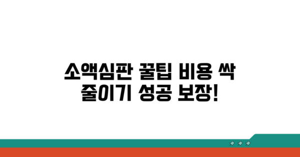 비용 아끼는 소액심판 청구 꿀팁