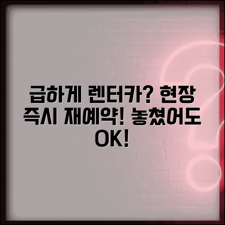 렌터카 예약 놓쳤을 때 현장 | 렌트 예약 취소되면 현장에서 차량 재예약하기