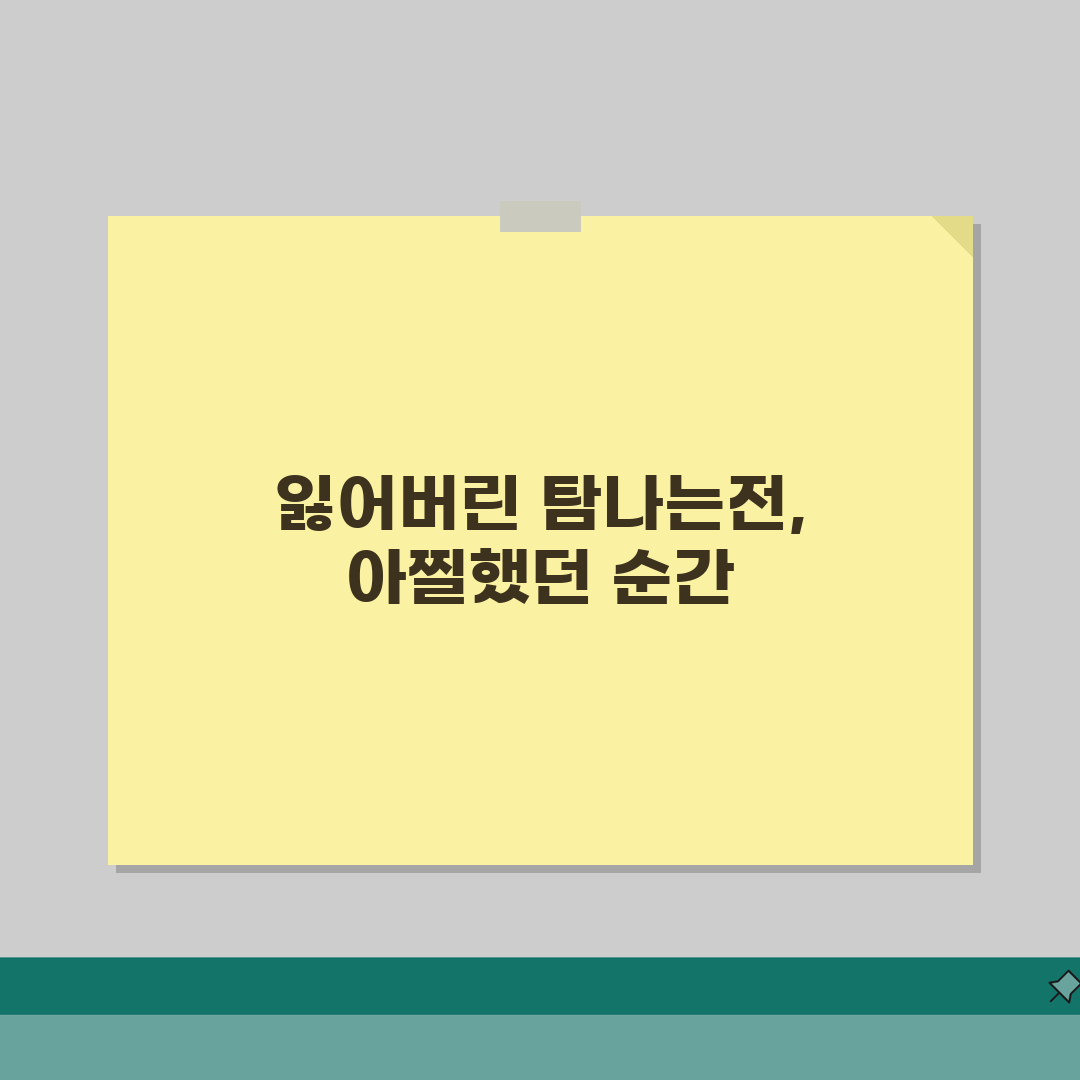 탐나는전 분실신고 | 카드 분실시 재발급 절차 완벽가이드, 직접 해봤어요