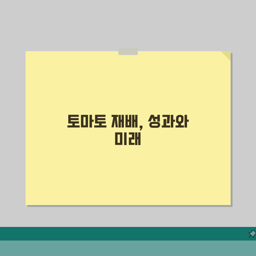 토마토 재배 방법 | 토마토 키우기 모종 심기 수확, 직접 해봤어요!