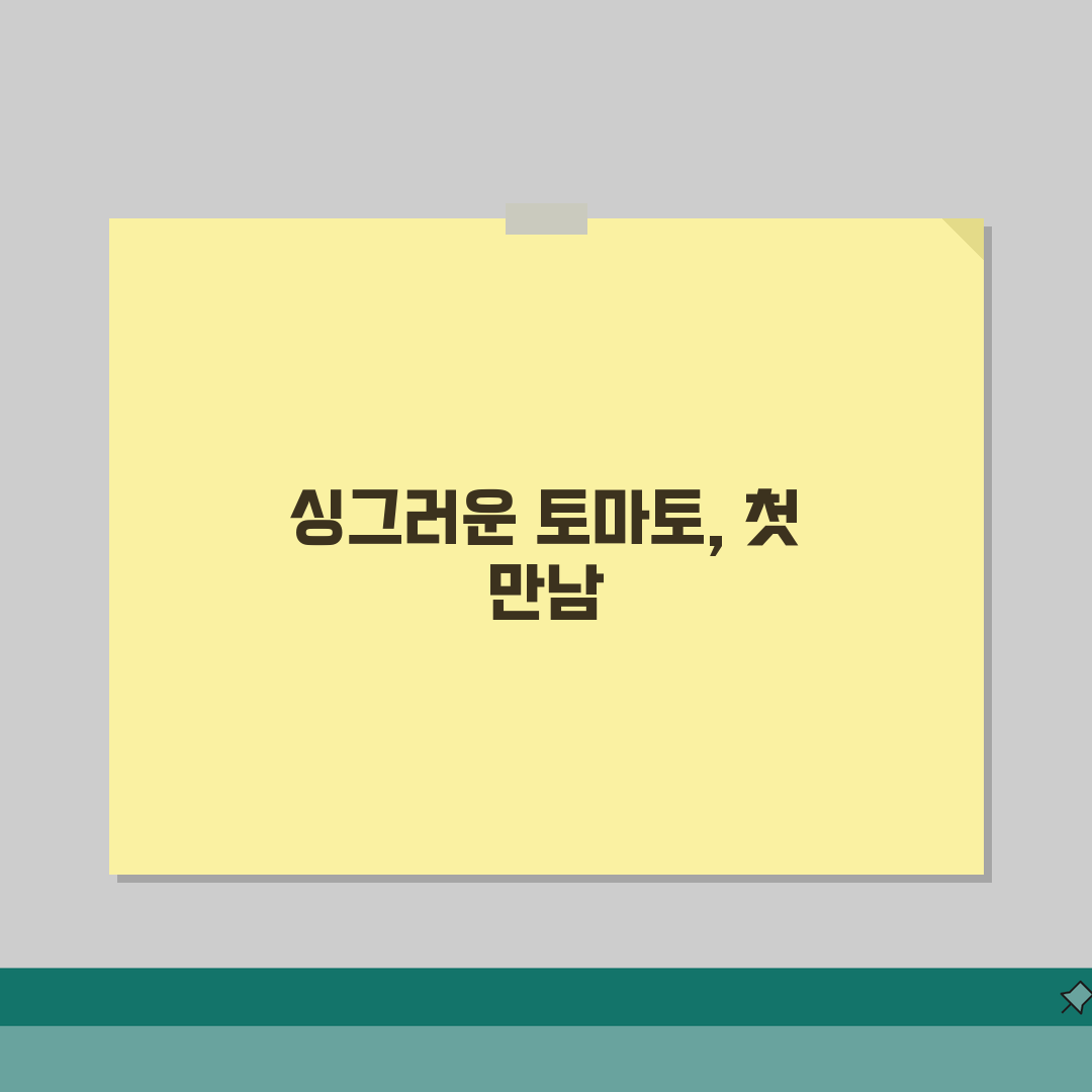 토마토 재배 방법 | 토마토 키우기 모종 심기 수확, 직접 해봤어요!