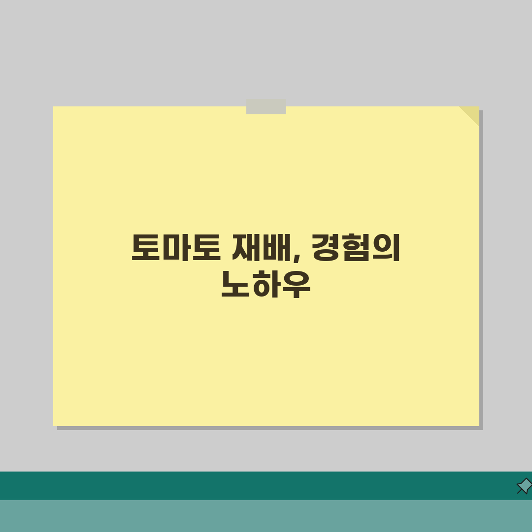 토마토 재배 방법 | 토마토 키우기 모종 심기 수확, 직접 해봤어요!