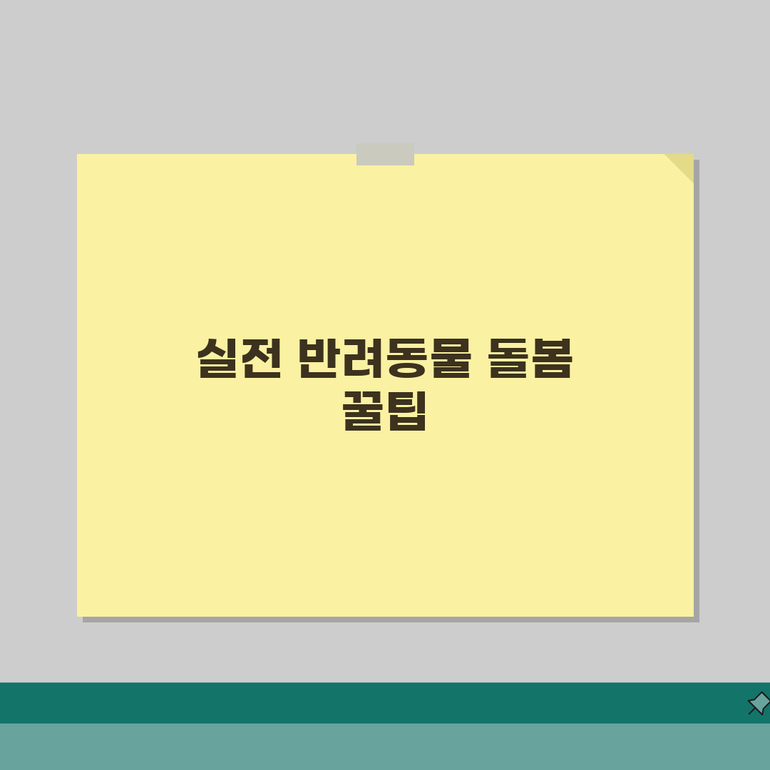 반려동물 돌봄 체크리스트 | 먹이/산책/위생관리 + 응급상황 대비 체험기, 우리 아이를 위
