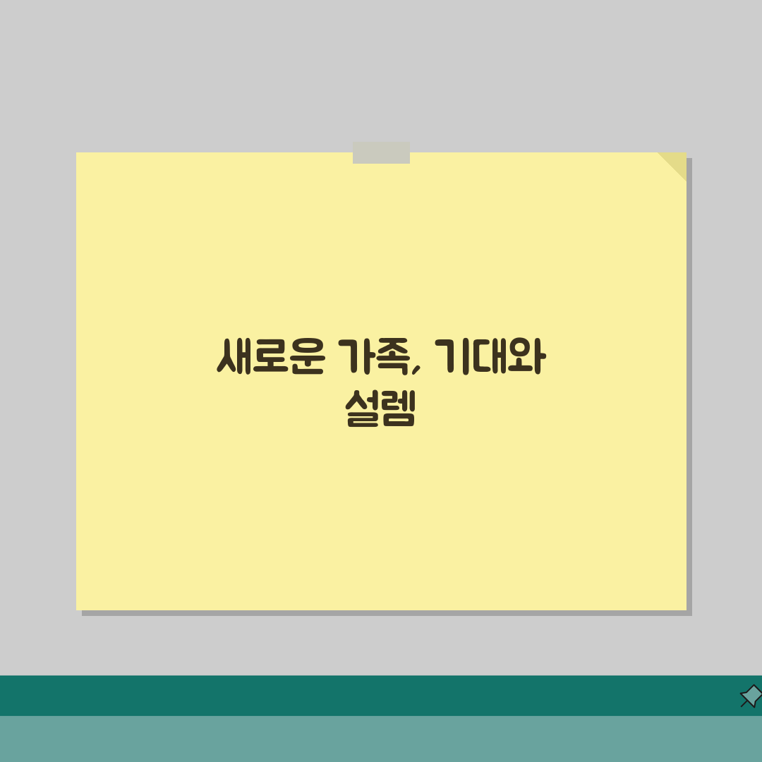 반려동물 돌봄 체크리스트 | 먹이/산책/위생관리 + 응급상황 대비 체험기, 우리 아이를 위