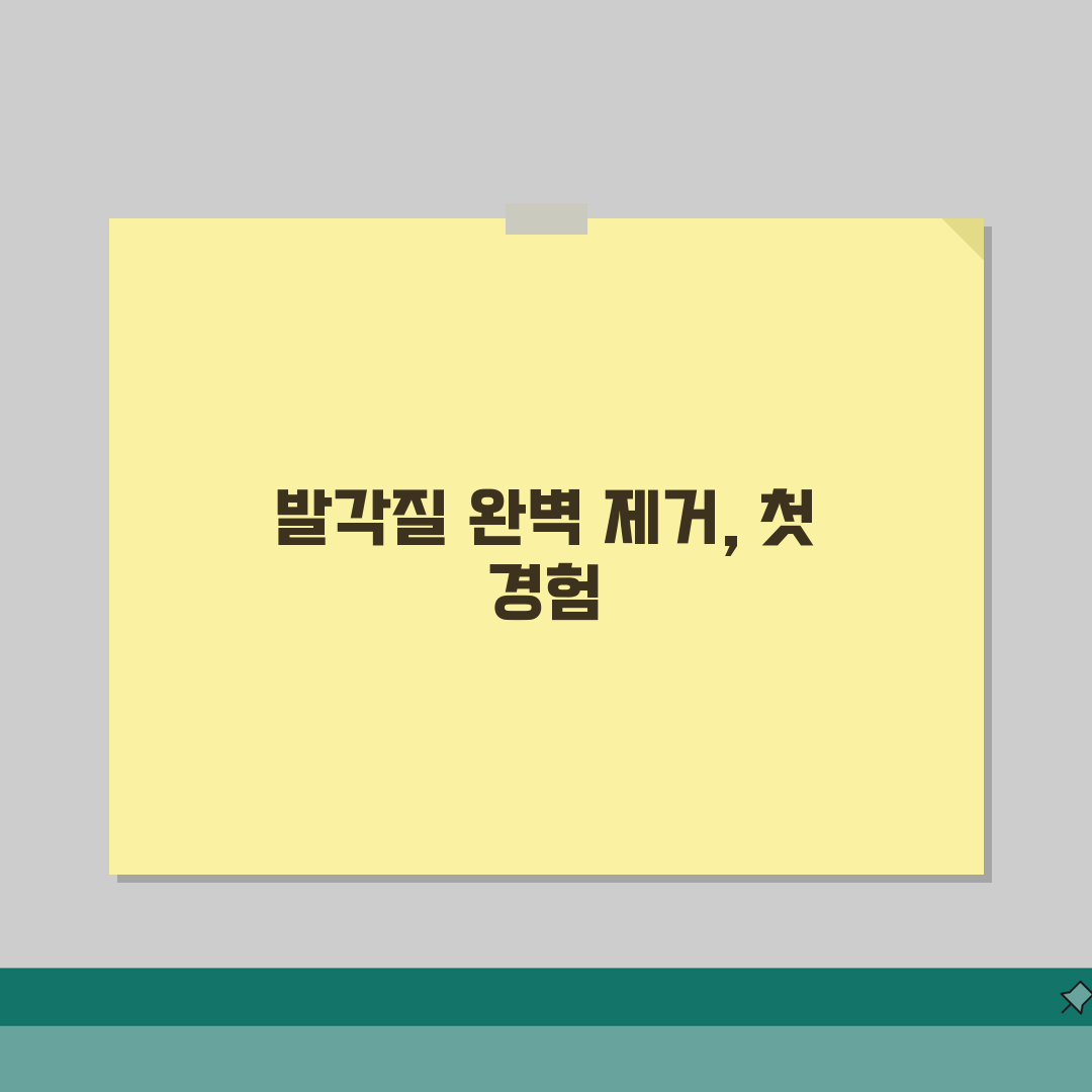 발각질제거 완벽가이드 2026 | 건식vs습식 케어법 + 계절별 관리방법 총정리 체험기,