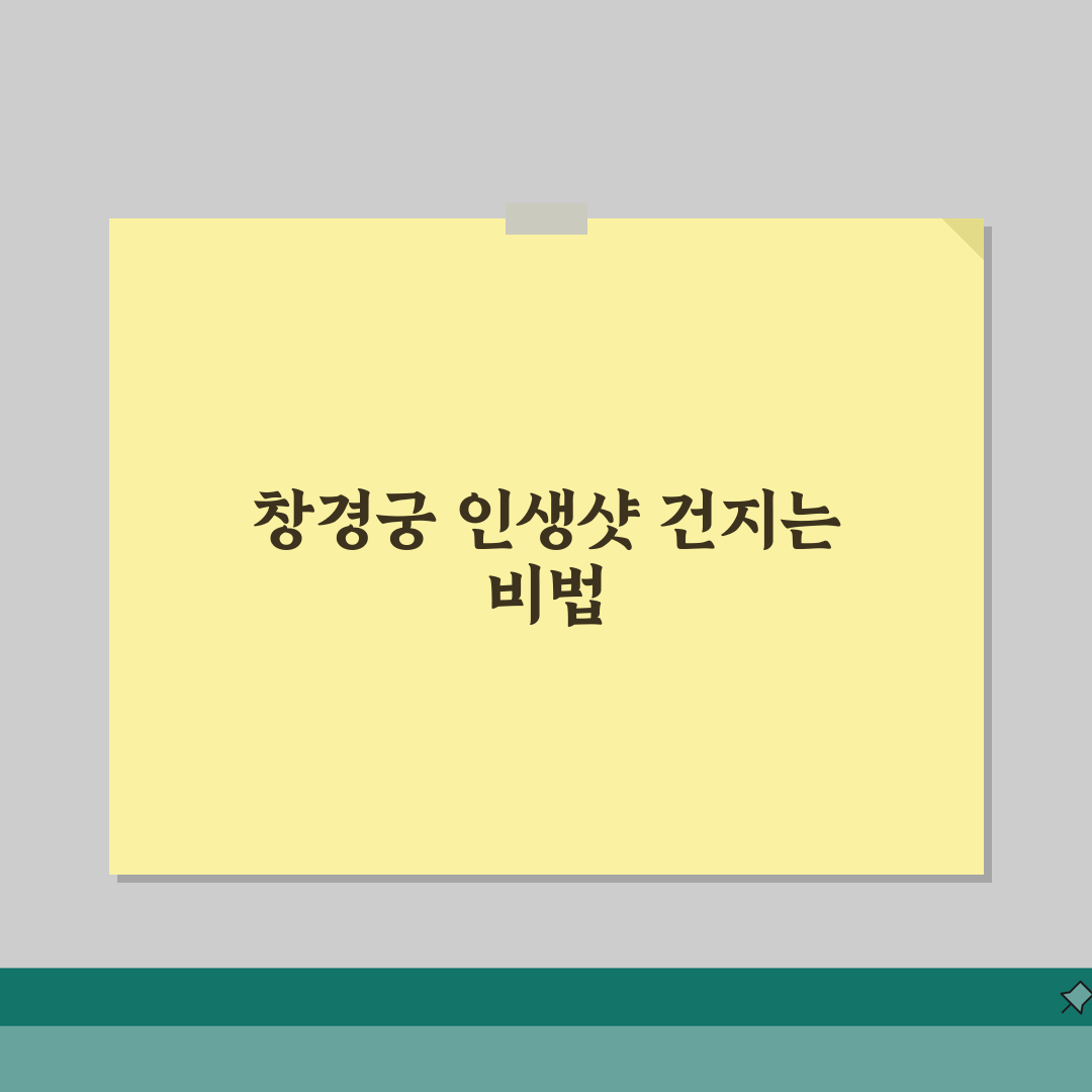 창경궁 사진 잘 찍는 팁 | 인생샷 포인트와 각도 추천, 직접 해봤어요