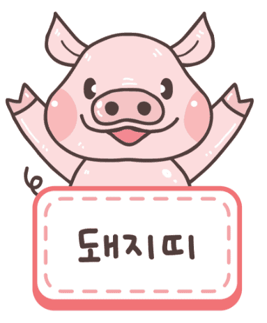 돼지띠 성향을 정리한 이미지